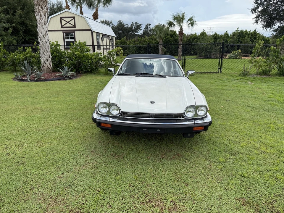 1990 Jaguar XJS - Image 6 of 31