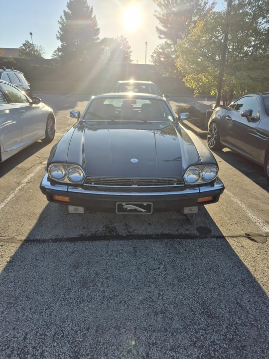 1990 Jaguar XJS - Image 4 of 17