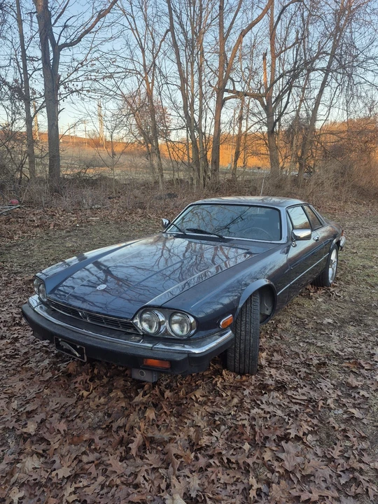1990 Jaguar XJS - Image 8 of 17