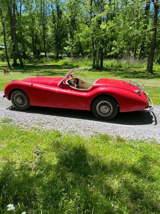 1990 Jaguar XK - Image 2 of 16