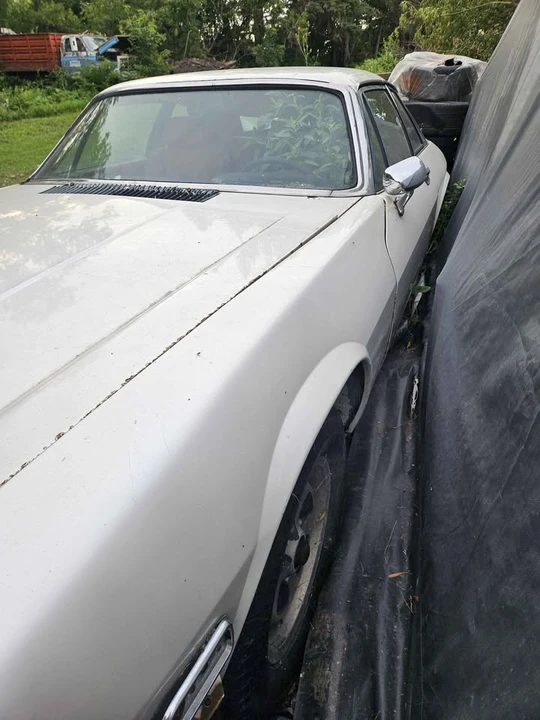 1990 Jaguar XJS Pre-Facelift V12 - Image 16 of 19