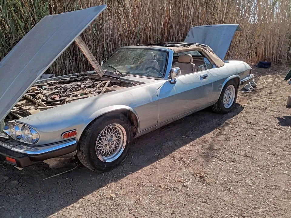 1990 Jaguar XJS Pre-Facelift V12 - Image 8 of 10