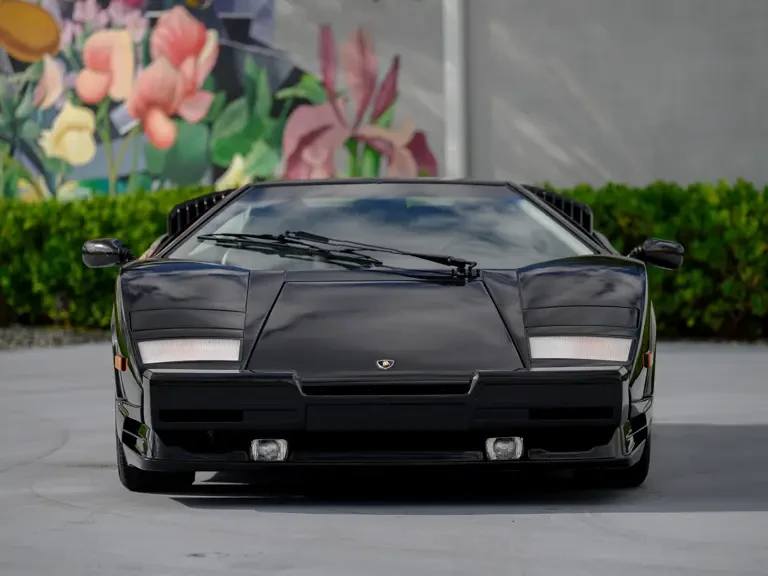 1990 Lamborghini Countach 25th Anniversary Edition - Image 8 of 31