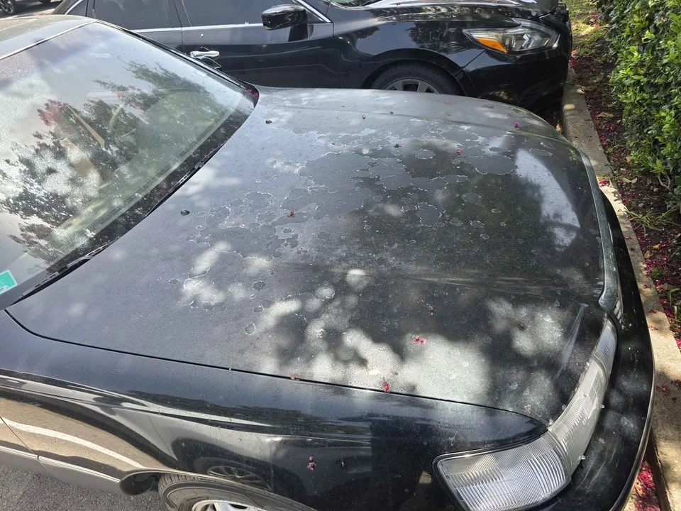 1990 Lexus LS 1st Gen - Image 4 of 4