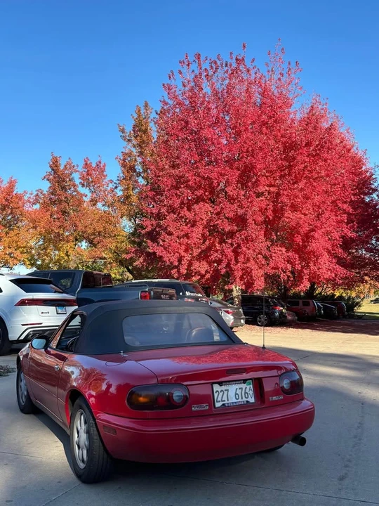 1990 Mazda NA MX-5 Miata - Image 18 of 20
