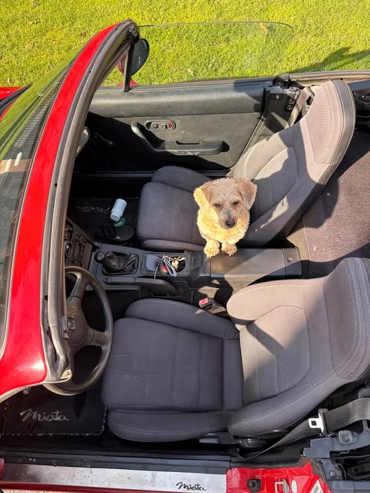 1990 Mazda NA MX-5 Miata - Image 13 of 20