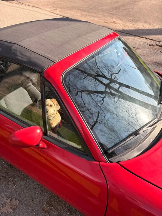 1990 Mazda NA MX-5 Miata - Image 11 of 20