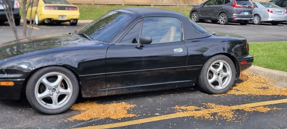 1990 Mazda NA MX-5 Miata - Image 6 of 9