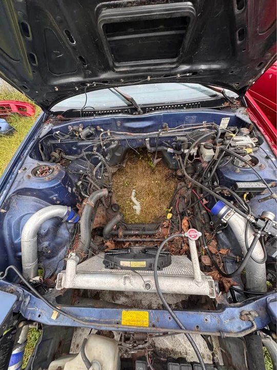1990 Mazda RX-7 FC - Image 2 of 16