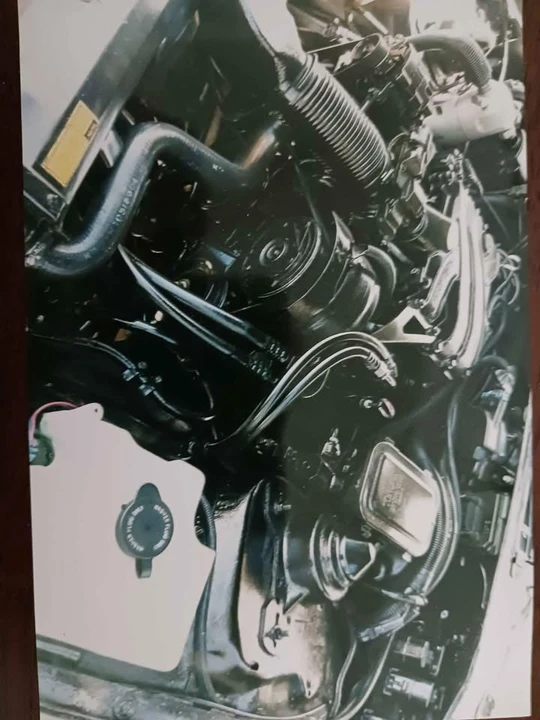 1990 Pontiac Firebird 3rd Gen - Image 10 of 11
