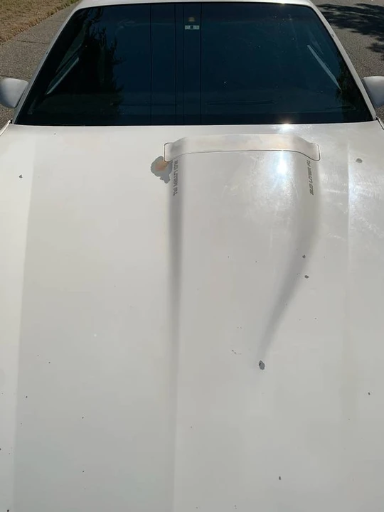 1990 Pontiac Firebird Formula 3rd Gen - Image 18 of 24