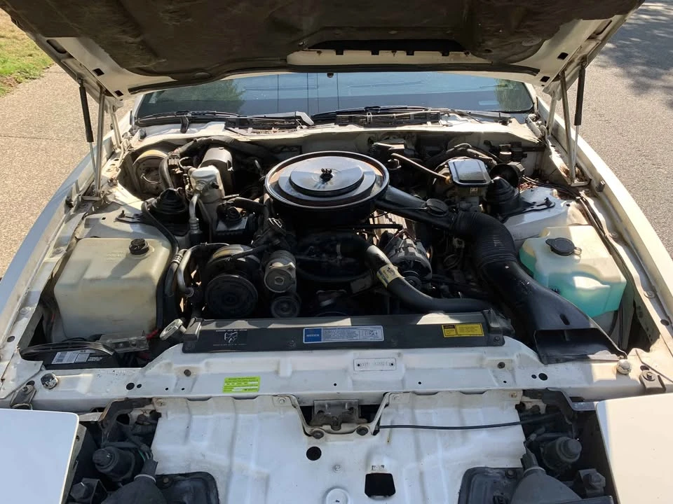 1990 Pontiac Firebird Formula 3rd Gen - Image 15 of 20