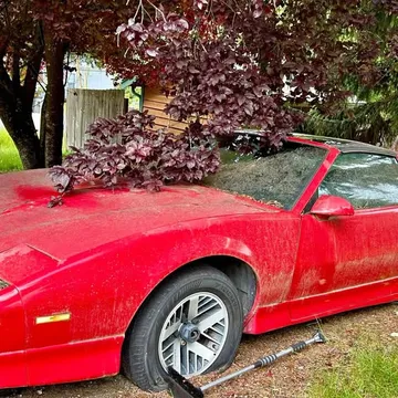 1990 Pontiac Firebird Trans Am
