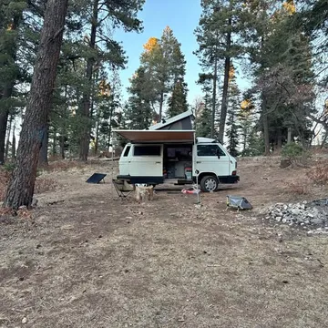 1990 Volkswagen Vanagon Westfalia