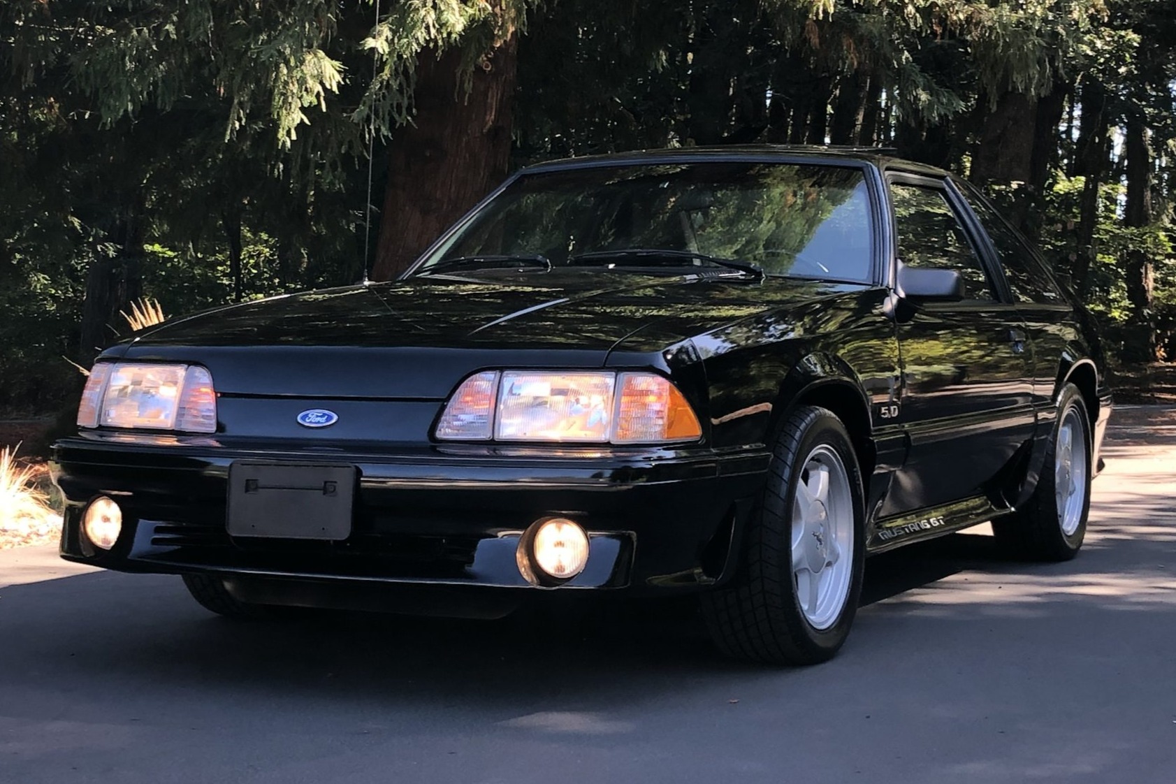 Original-Owner 1990 Ford Mustang GT 5.0 5-Speed