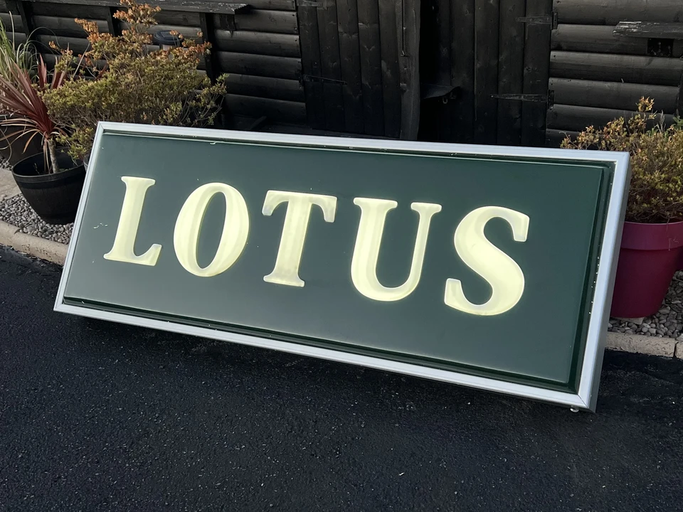 Lotus - Image 13 of 22