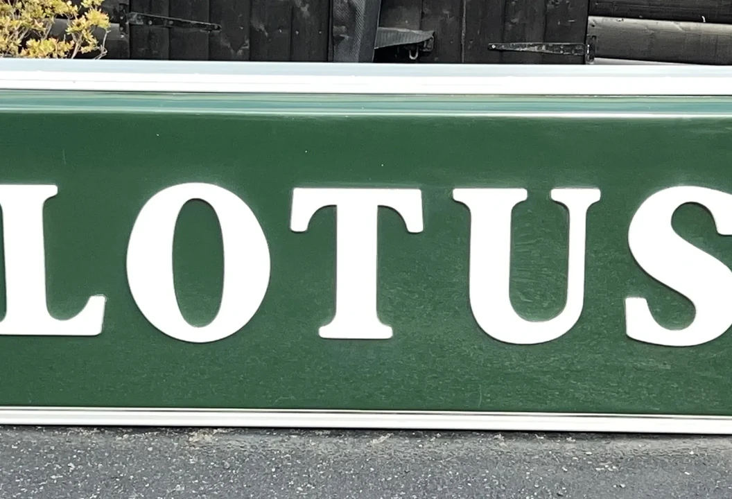 Lotus - Image 15 of 22