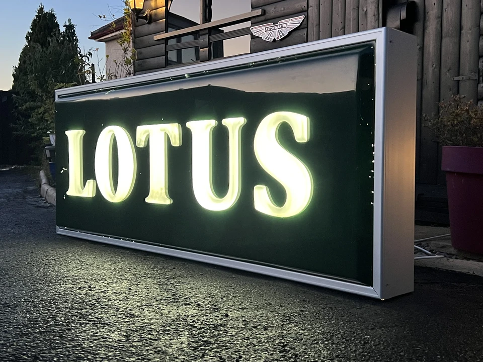 Lotus - Image 10 of 22
