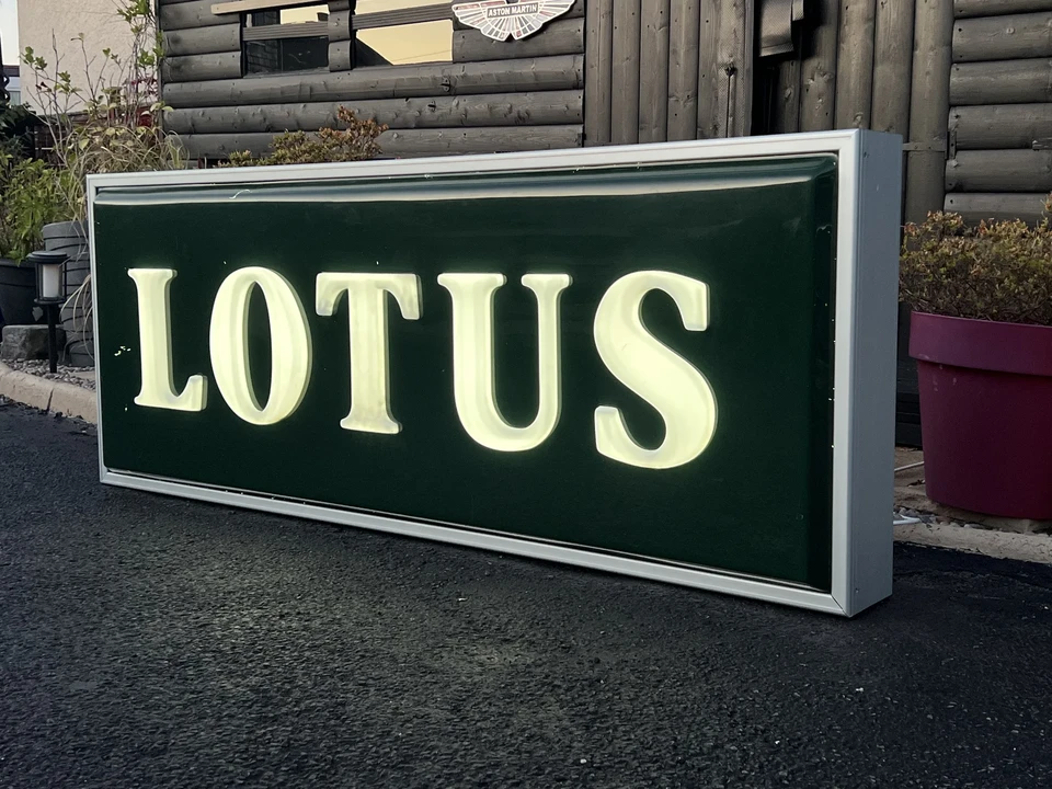 Lotus - Image 11 of 22