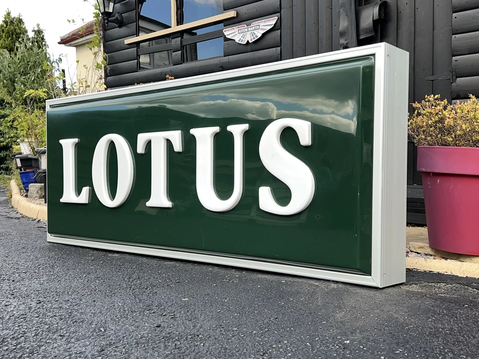 Lotus - Image 9 of 22