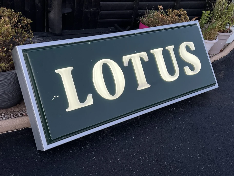 Lotus - Image 6 of 22