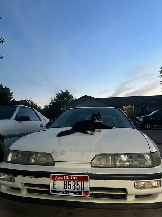 1991 Acura Integra 2nd Gen - Image 15 of 17