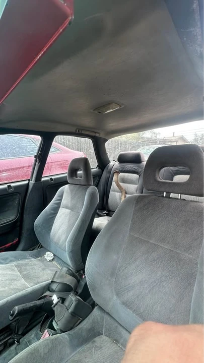 1991 Acura Integra 2nd Gen - Image 3 of 7
