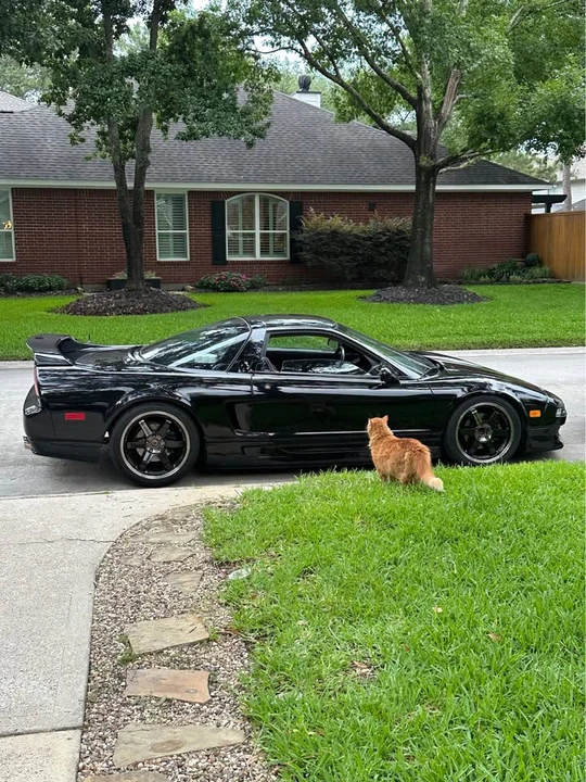 1991 Acura NA1 NSX - Image 5 of 15
