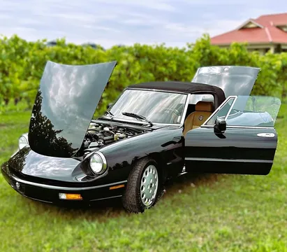 1991 Alfa Romeo Spider S4