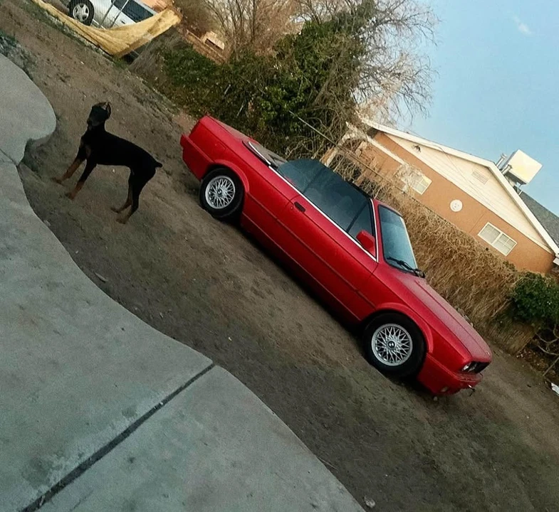 1991 BMW E30 3 Series - Image 2 of 7