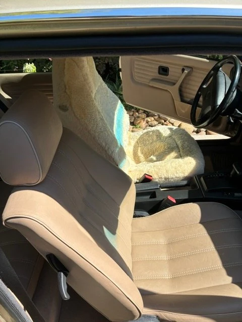 1991 BMW E30 3 Series - Image 5 of 20
