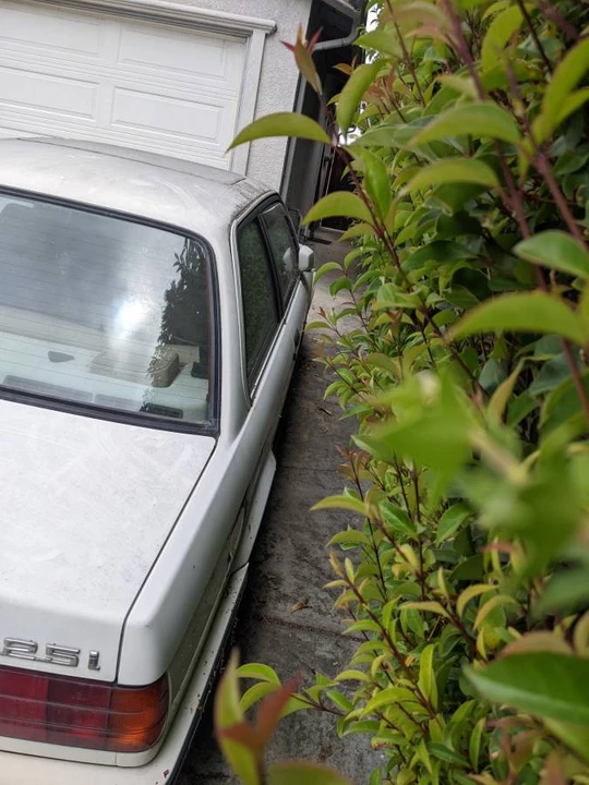 1991 BMW E30 3 Series - Image 7 of 21