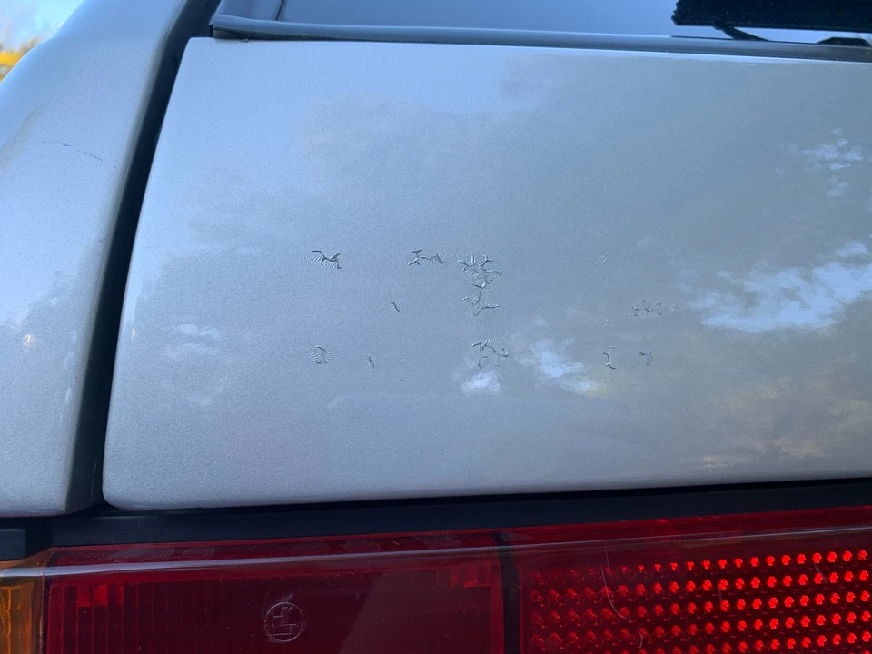 1991 BMW E30 3 Series - Image 19 of 31