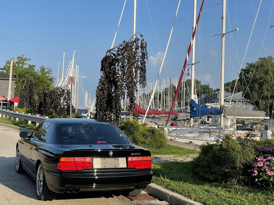 1991 BMW E31 850i & 850Ci - Image 15 of 31