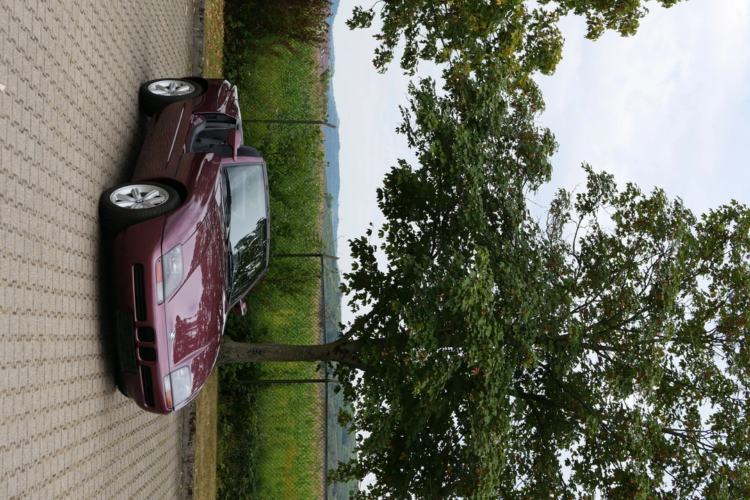 1991 BMW Z1 - Image 3 of 31