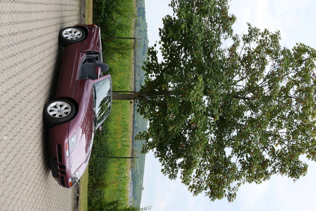 1991 BMW Z1 - Image 2 of 31