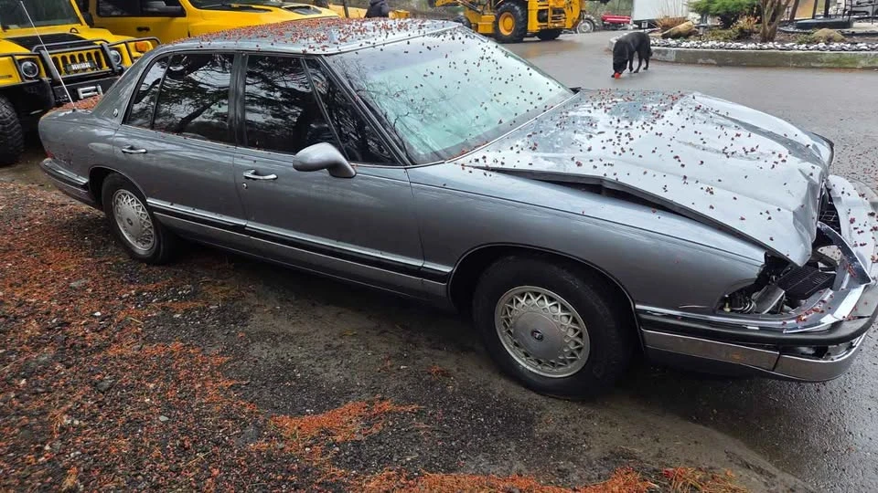 1991 Buick Park Avenue - Image 2 of 10