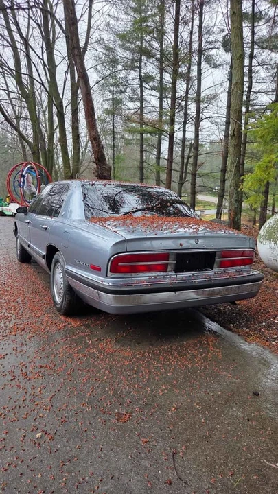1991 Buick Park Avenue - Image 4 of 10