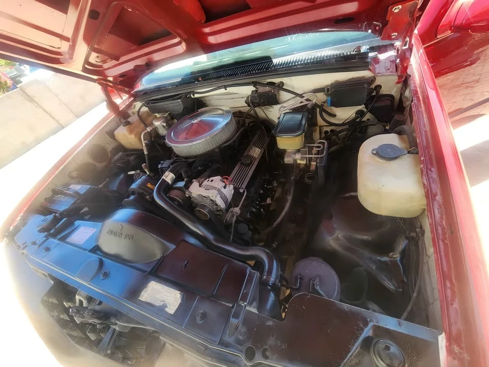 1991 Chevrolet C/K 4th Gen - Image 8 of 8