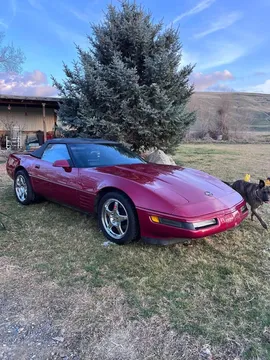 1991 Chevrolet Corvette C4 - Image 2 of 9