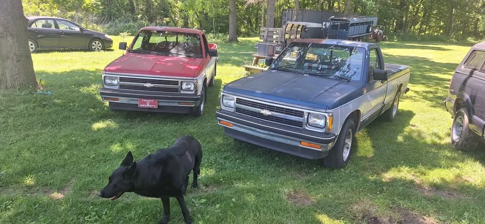 1991 Chevrolet S-10 - Image 2 of 6