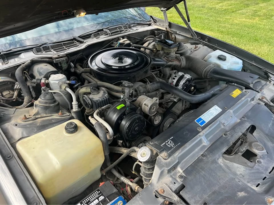 1991 Chevrolet Camaro 3rd Gen - Image 14 of 15