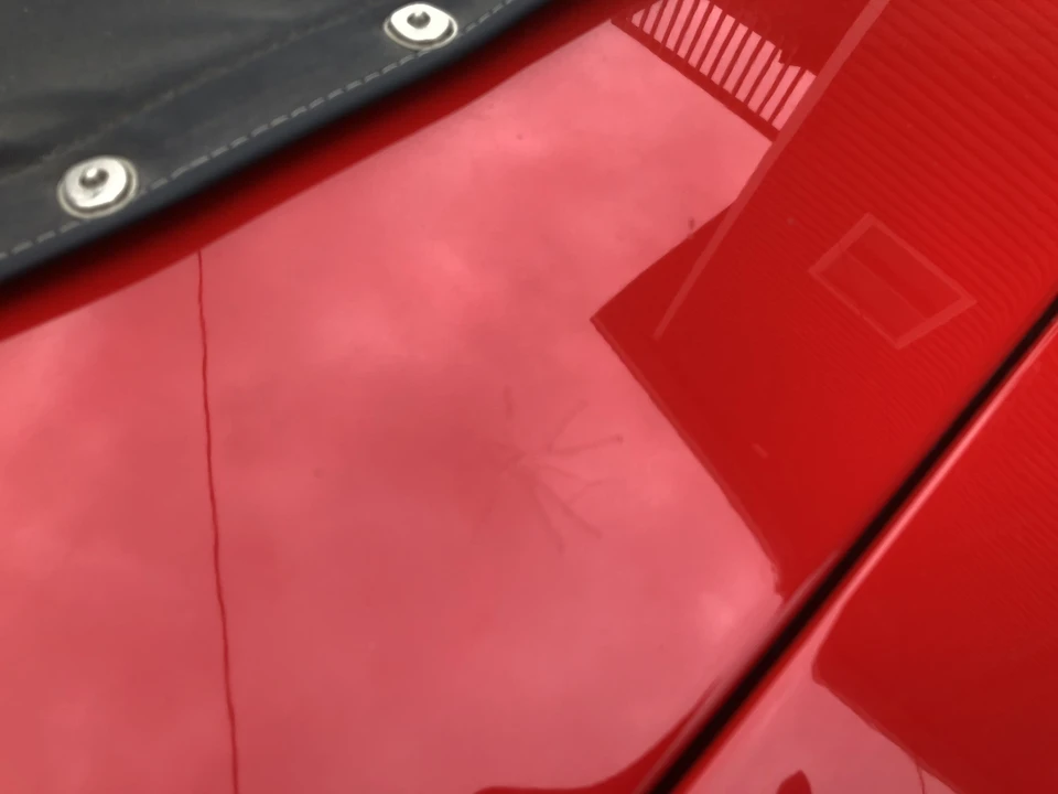 1991 Shelby Cobra Replica - Image 21 of 31
