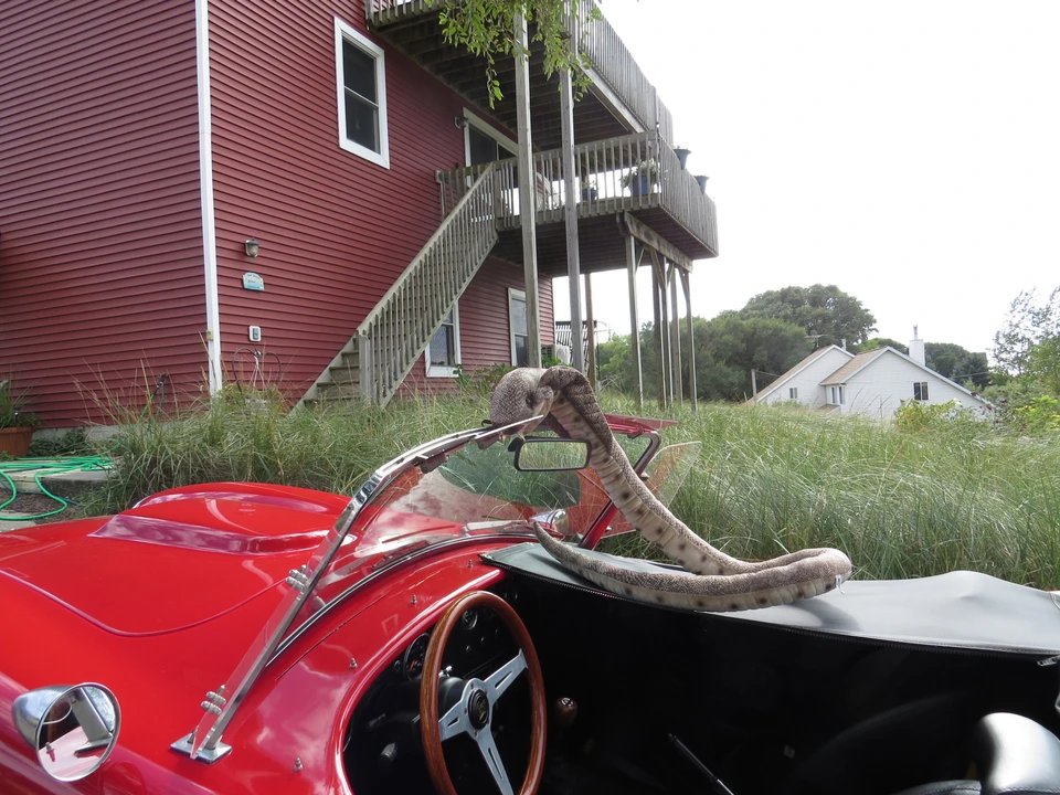 1991 Shelby Cobra Replica - Image 24 of 31