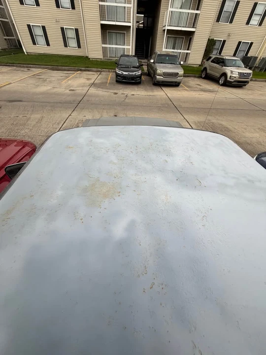 1991 Dodge D Series - Image 12 of 14