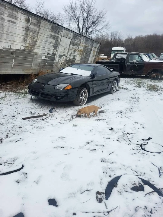 1991 Dodge Stealth - Image 3 of 8