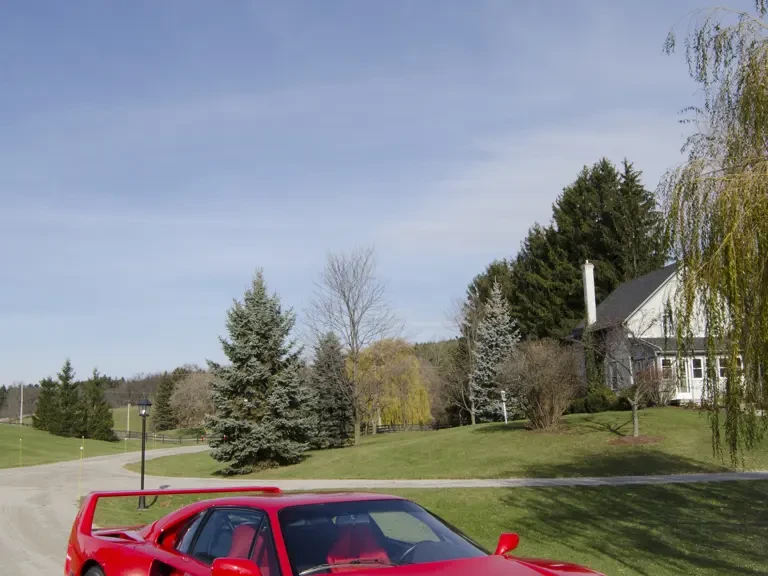 1991 Ferrari F40 - Image 25 of 25