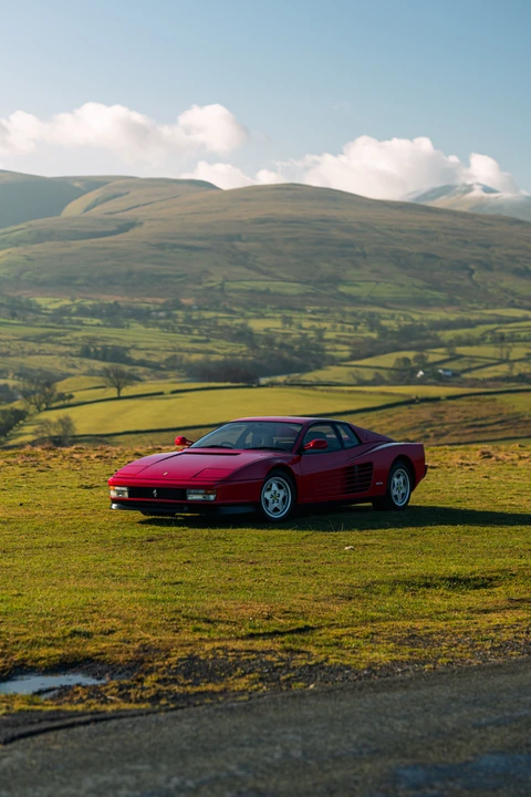 1991 Ferrari Testarossa - Image 29 of 31
