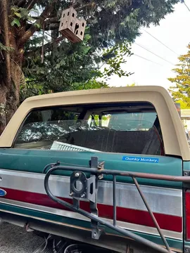 1991 Ford Bronco Green