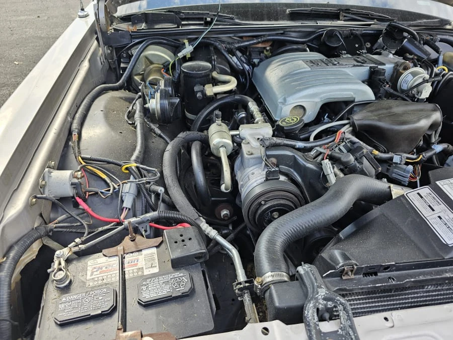 1991 Ford Crown Victoria - Image 13 of 13